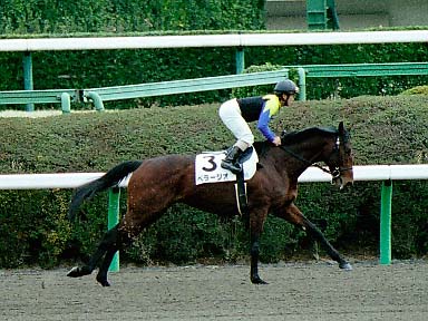 2003/02/22 ’†ŽR08R