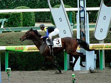 2003/02/22 ’†ŽR08R