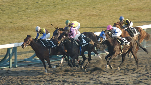 2004/01/10 ’†ŽR11R