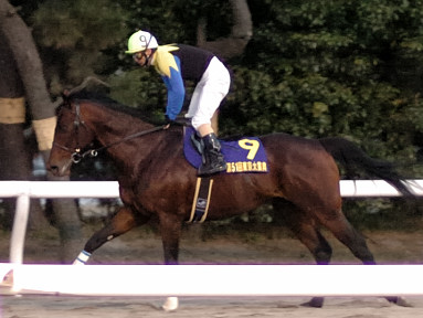 2005/12/29 ‘åˆä10R