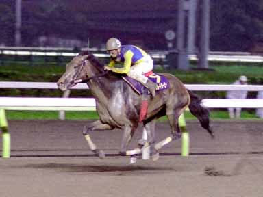 2003/07/08 大井09R