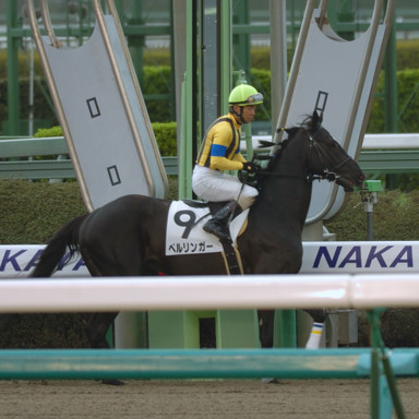 2009/03/22 中山08R