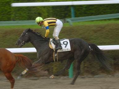 2009/03/22 中山08R