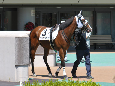 2024/06/08 東京01R