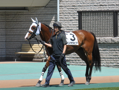 2024/06/08 東京01R