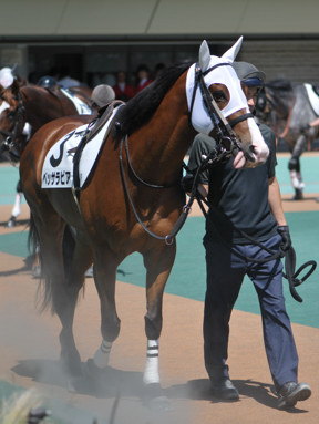 2024/06/08 東京01R