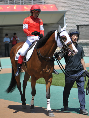 2024/06/08 東京01R