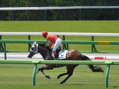 2024/06/08 東京01R