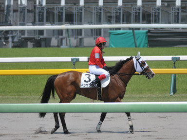 2024/06/08 東京01R