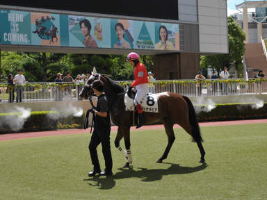 2024/06/08 小倉01R
