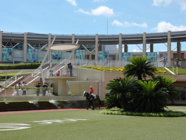 2024/06/08 小倉01R