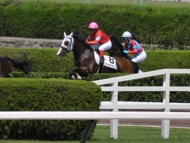 2024/06/08 小倉01R
