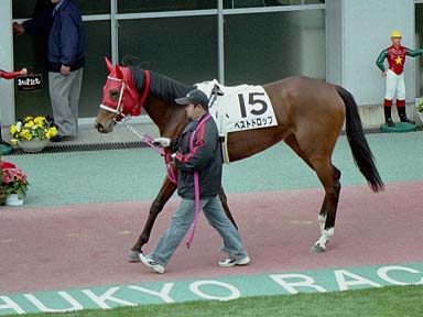 2002/03/16 中京07R