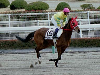 2002/03/16 中京07R