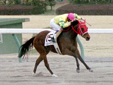 2002/03/16 中京07R