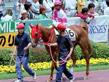 2002/06/02 東京06R