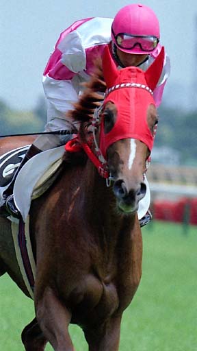 2002/06/02 東京06R