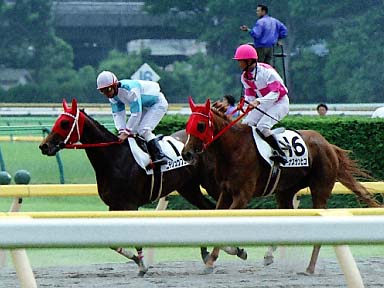 2002/06/02 東京06R