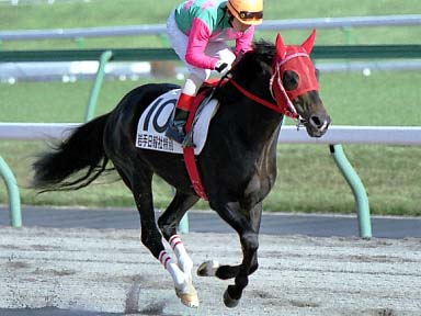 2002/11/04 盛岡06R