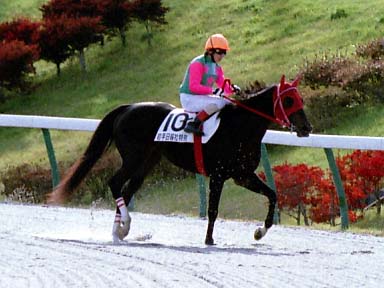 2002/11/04 盛岡06R