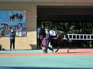 2025/11/13 中京07R