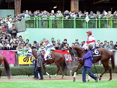 2002/01/05 東京09R