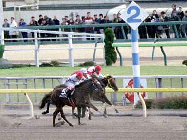 2002/01/05 東京09R