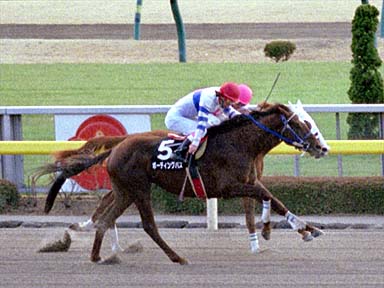 2002/01/05 東京09R
