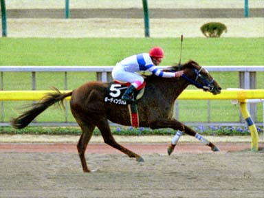 2002/01/05 東京09R