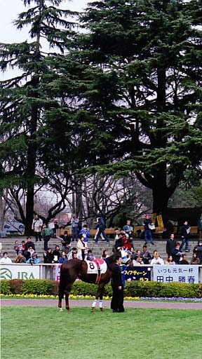 2002/02/17 東京04R