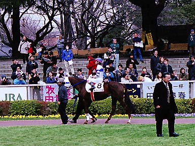 2002/02/17 東京04R