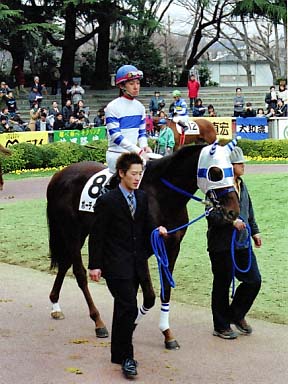 2002/02/17 東京04R