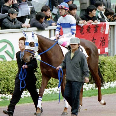 2002/02/17 東京04R