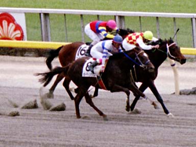 2002/02/17 東京04R