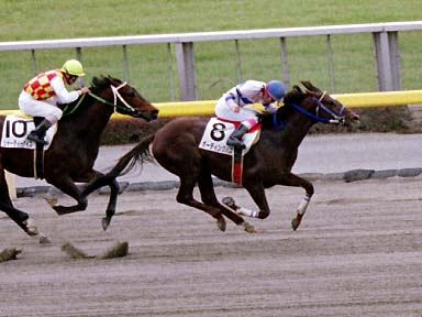 2002/02/17 東京04R