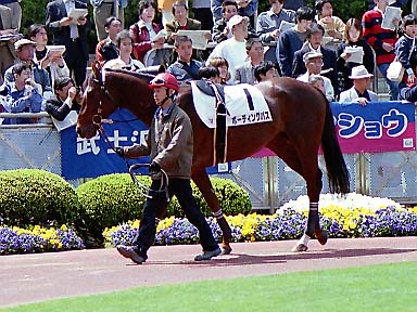 2002/04/07 中山07R