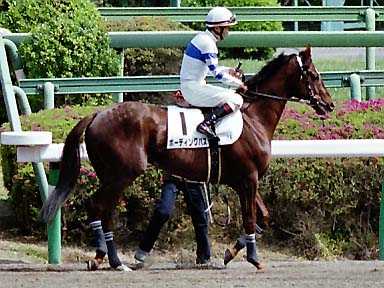 2002/04/07 中山07R