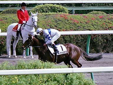 2002/04/07 中山07R