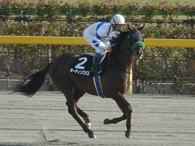2004/02/14 東京10R