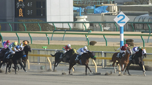 2004/02/14 東京10R