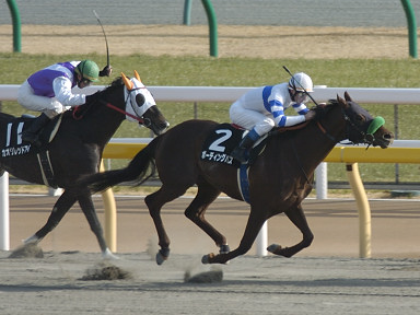 2004/02/14 東京10R