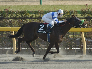 2004/02/14 東京10R
