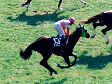 1999/01/31 東京08R