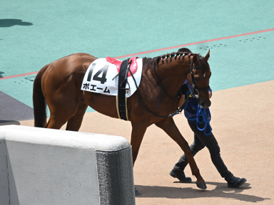 2025/06/01 東京07R