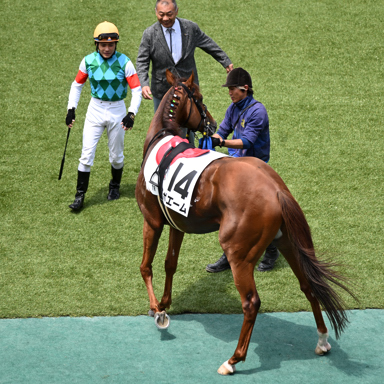 2025/06/01 東京07R