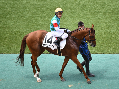 2025/06/01 東京07R