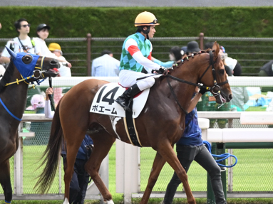 2025/06/01 東京07R