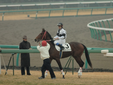 2006/01/14 R06R