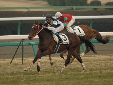 2006/01/14 R06R