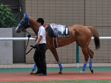 2014/07/20 福島10R